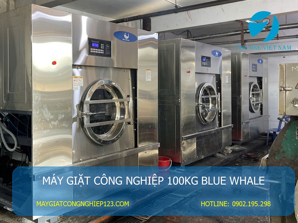 máy giặt công nghiệp 100kg blue whale